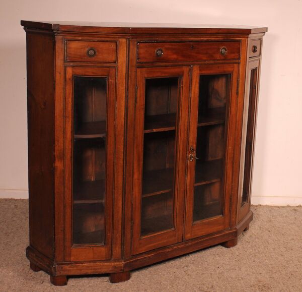 Vitrine Ou Bibliothèque De Magasin En Acajou Début 19° Siècle