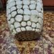 Ceramic pot cover