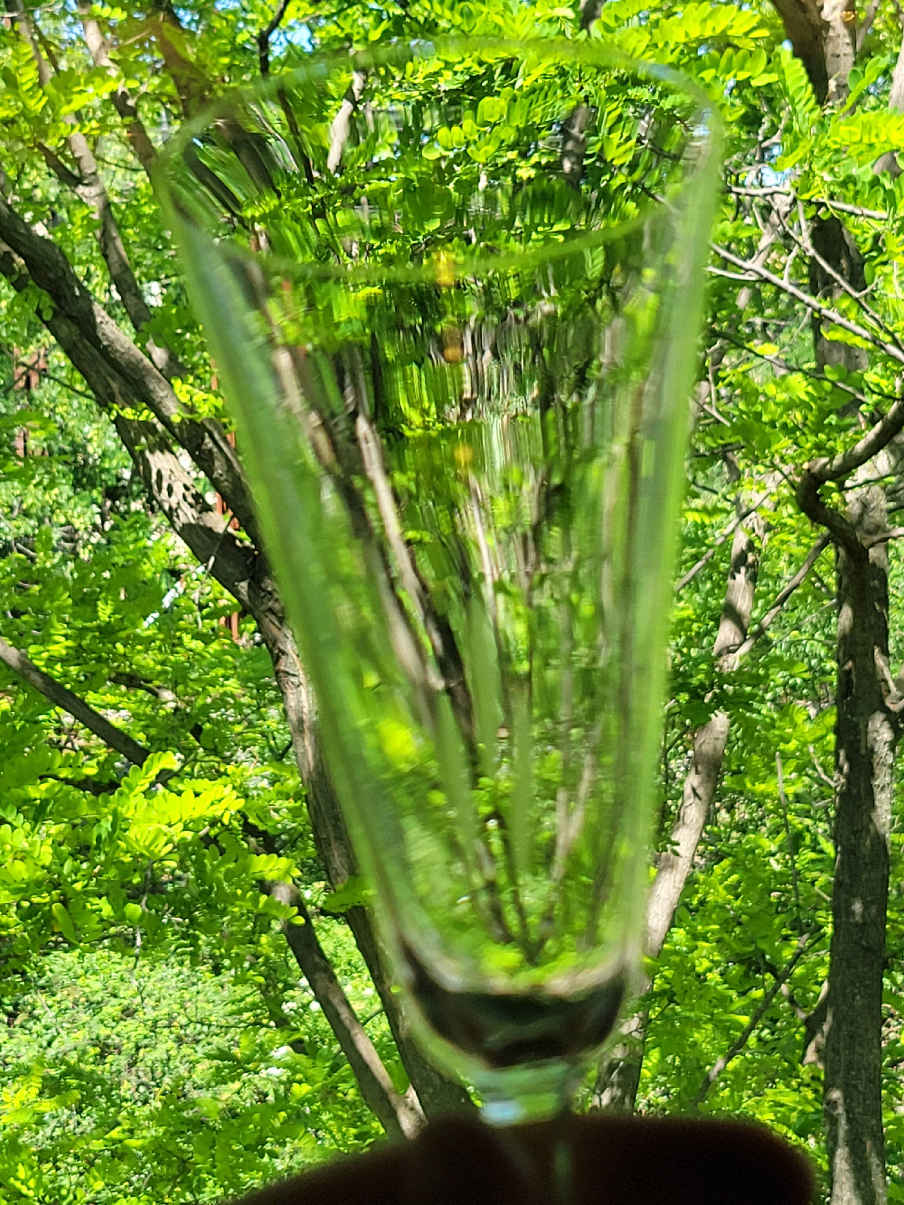 6 old cut crystal champagne flutes