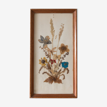 Herbier ancien