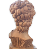 Bust David in plaster