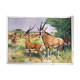 Poster "Antelope" educational grid 1891
