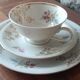 Antique porcelain trio Bavaria – cup, saucer, plate – flowers & do