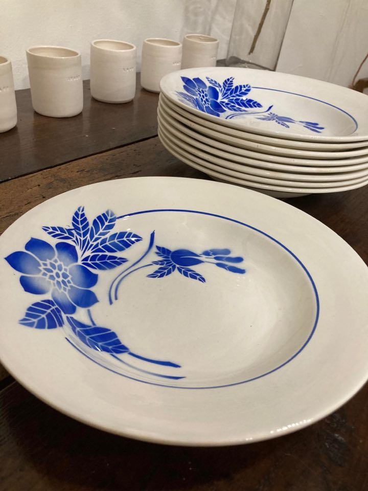 Lot of 9 hollow plates and dish Digoin Sarreguemines