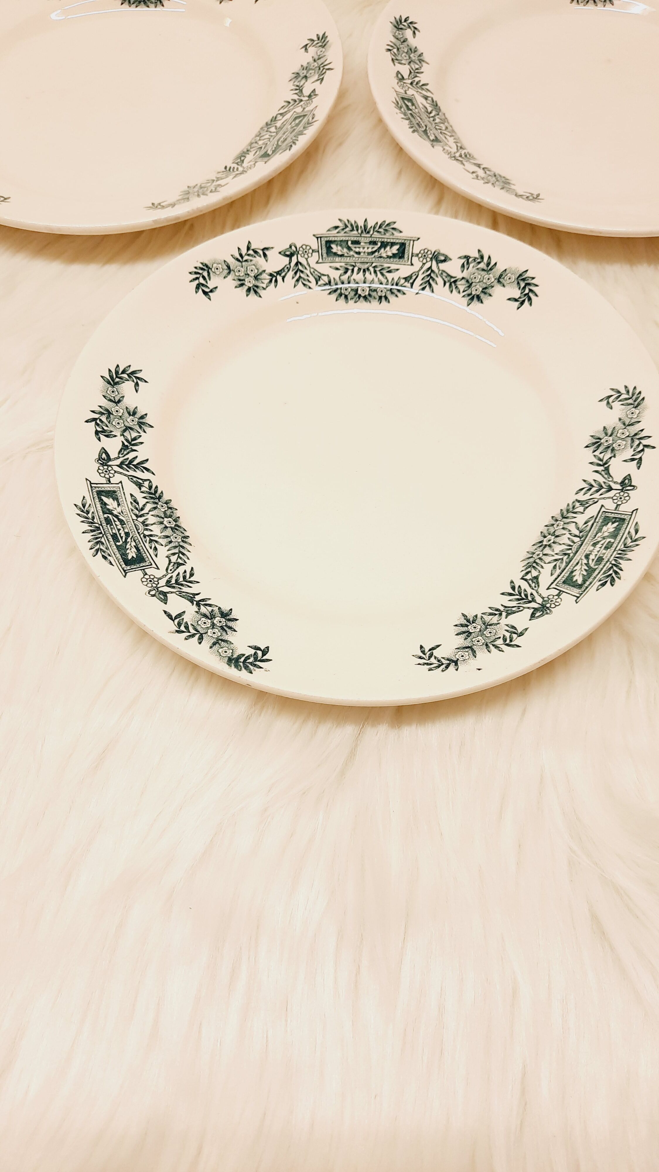 Ser 3 flat plates Iron Earth
