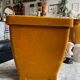 Orange velvet plant pot