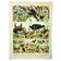 Antique engraving 1897 A. Millot - Birds 3, species