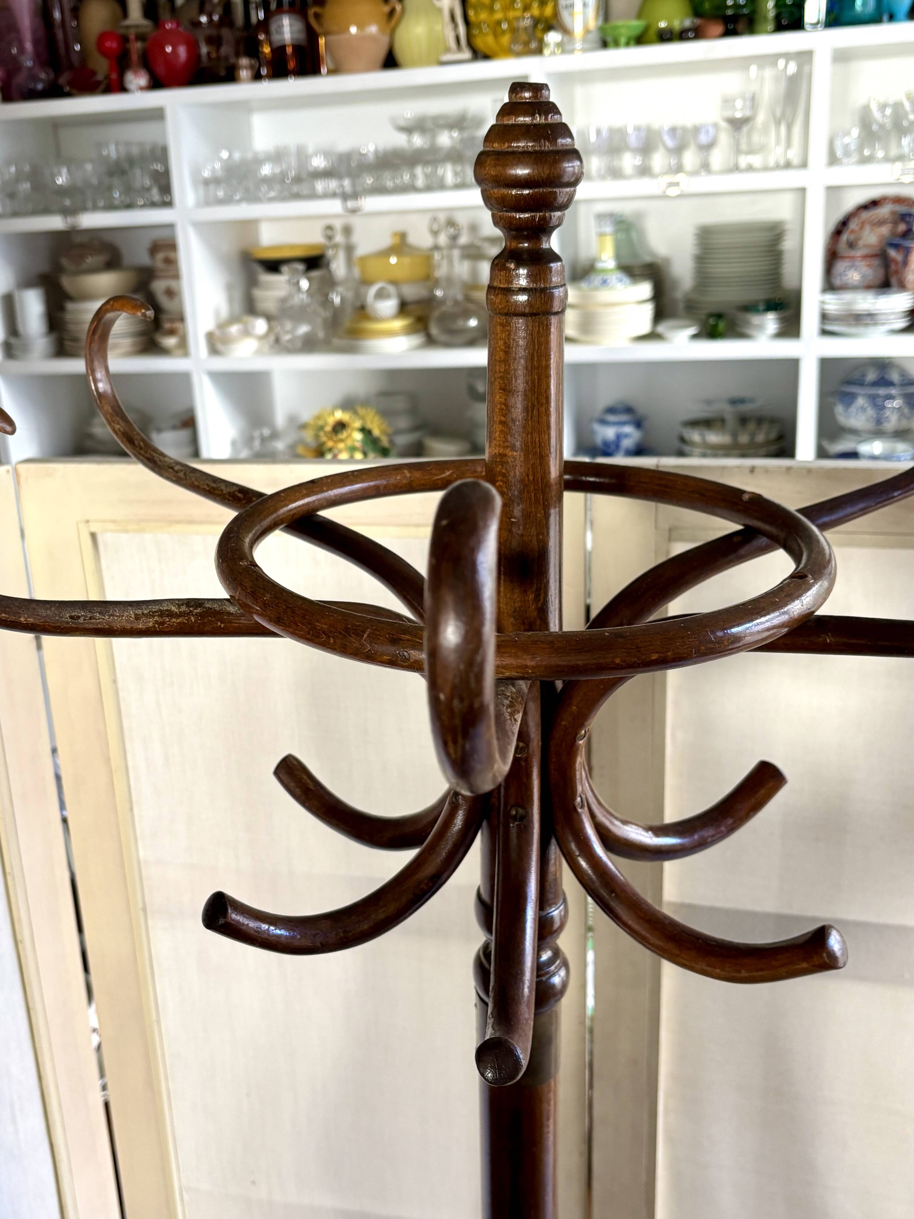 Parrot coat rack with 6 hooks in dark bent beech