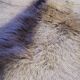 Goat skin