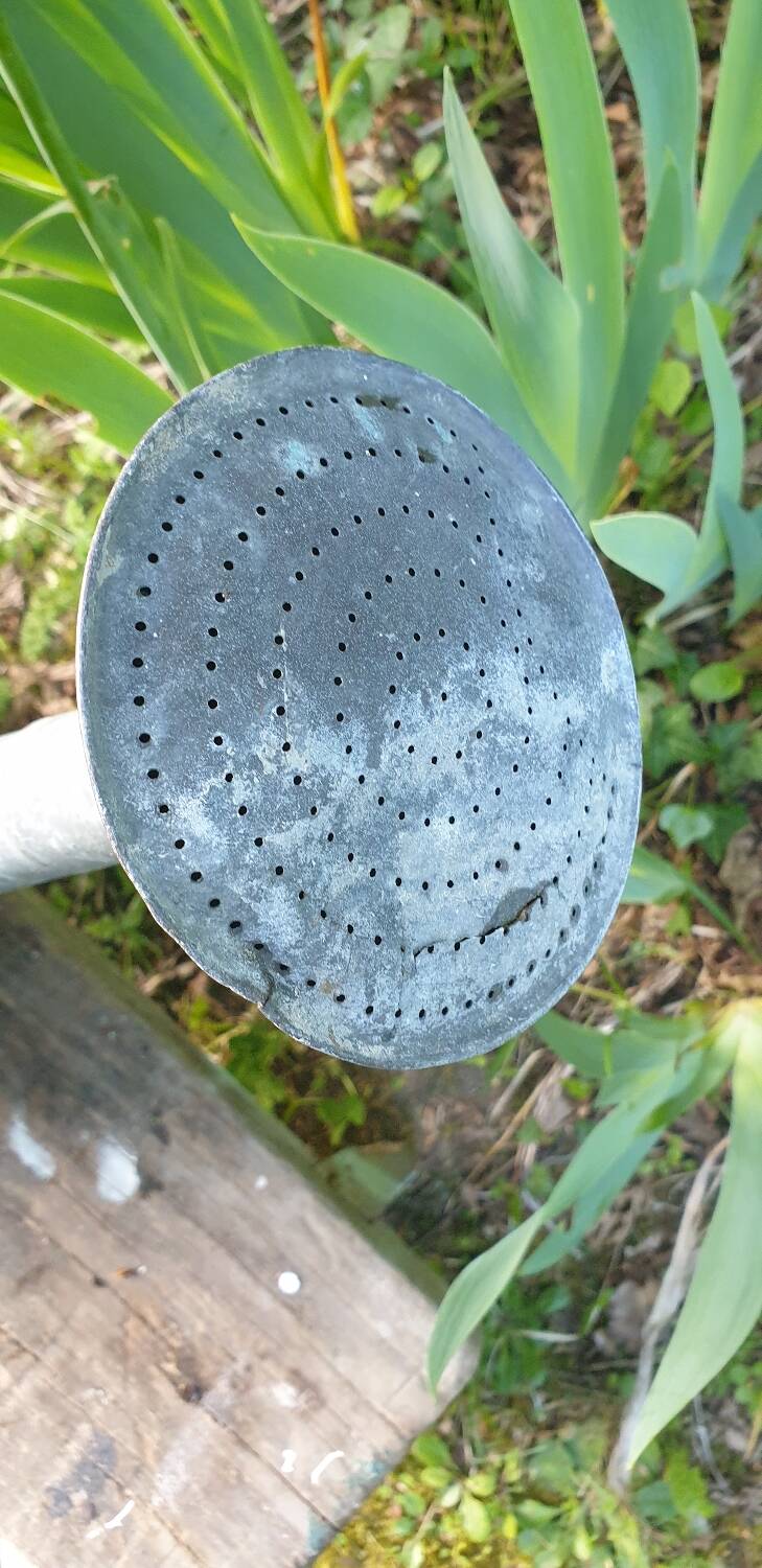 Vintage zing watering can
