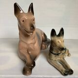 A pair of German shepherds.