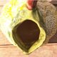 Vintage pitcher citrus slurry