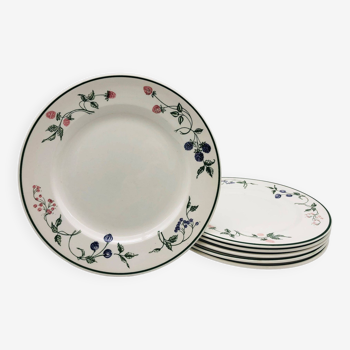 6 Assiettes plates estampillées « EIT-England »