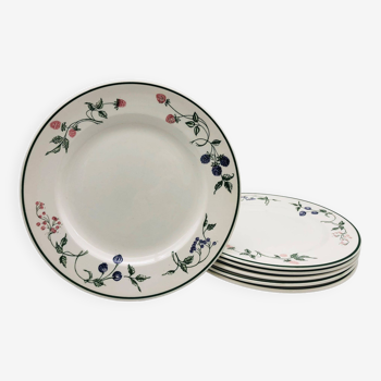 6 Dinner plates stamped “EIT-England”