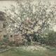 Painting signed Oil on canvas dimension: height -50 cm- width -56 cm-