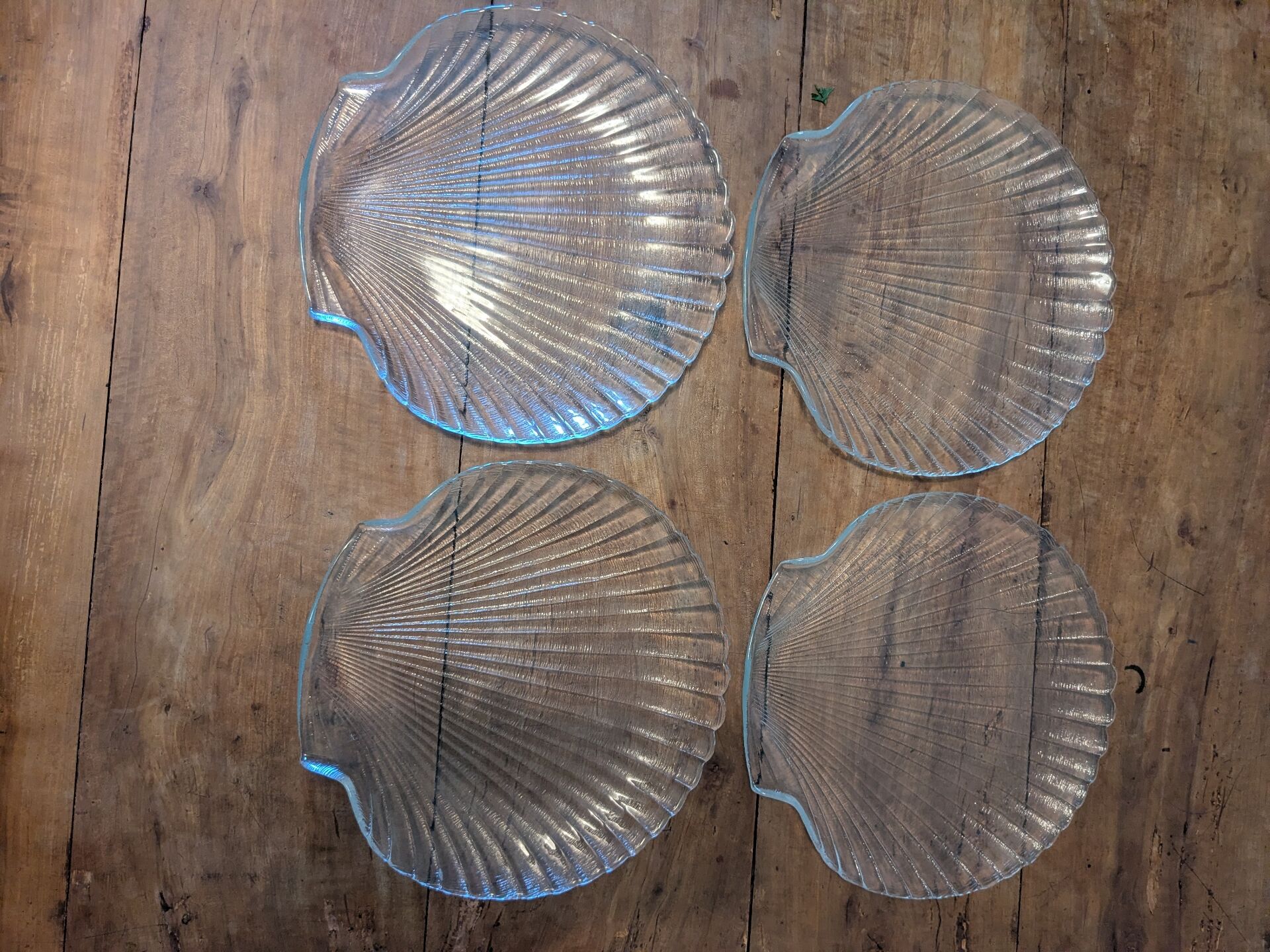 Assiettes coquilles saint jacques
