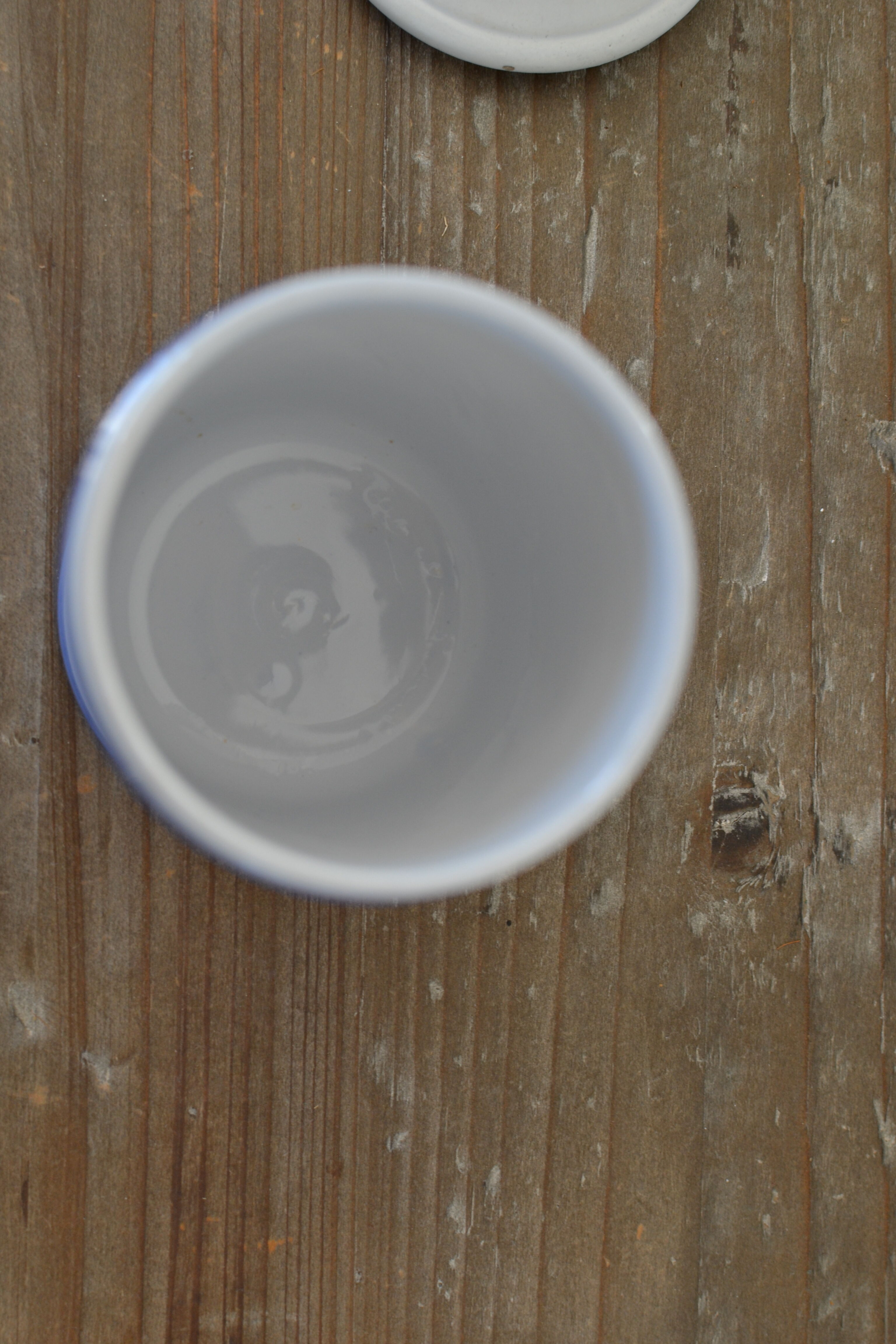 Old pharmacy pot eucalyptus globulus longchamp