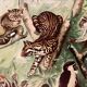 Illustrated plate on arboreal mammals (cats, monkeys, lemurs) – 1950