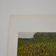Art poster - reproduction by Gustav Klimt