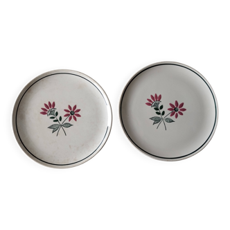 2 assiettes plates Gigi Céranord Saint-Amand semi-porcelaine
