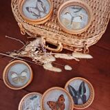Set of 6 butterfly coasters