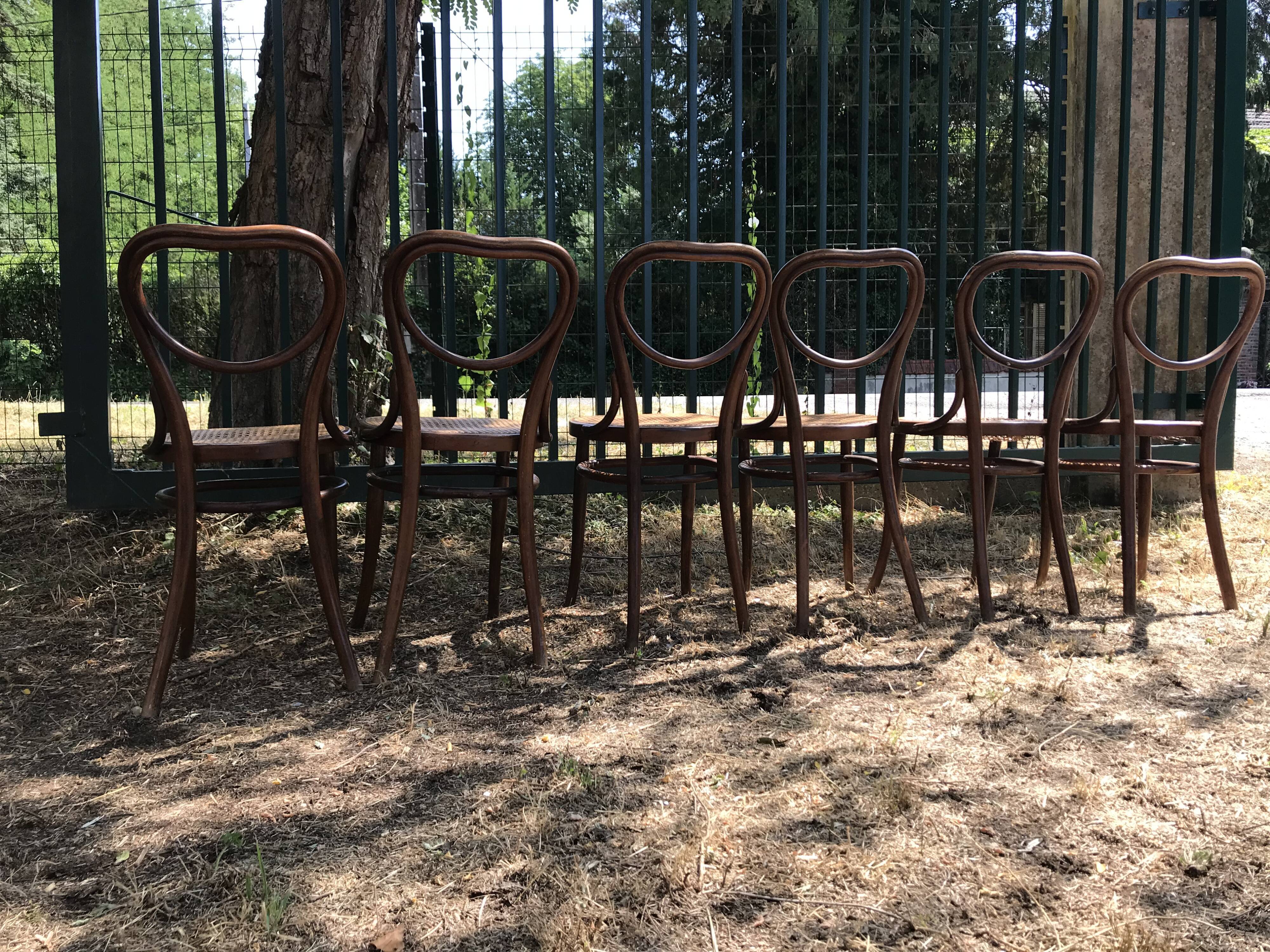Suite de 6 chaises Joseph Hofman Thonet