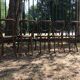 Suite de 6 chaises Joseph Hofman Thonet