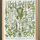 Poster on medicinal plants "absinthe", after a lithograph from 1928