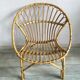 Adult rattan shell armchair
