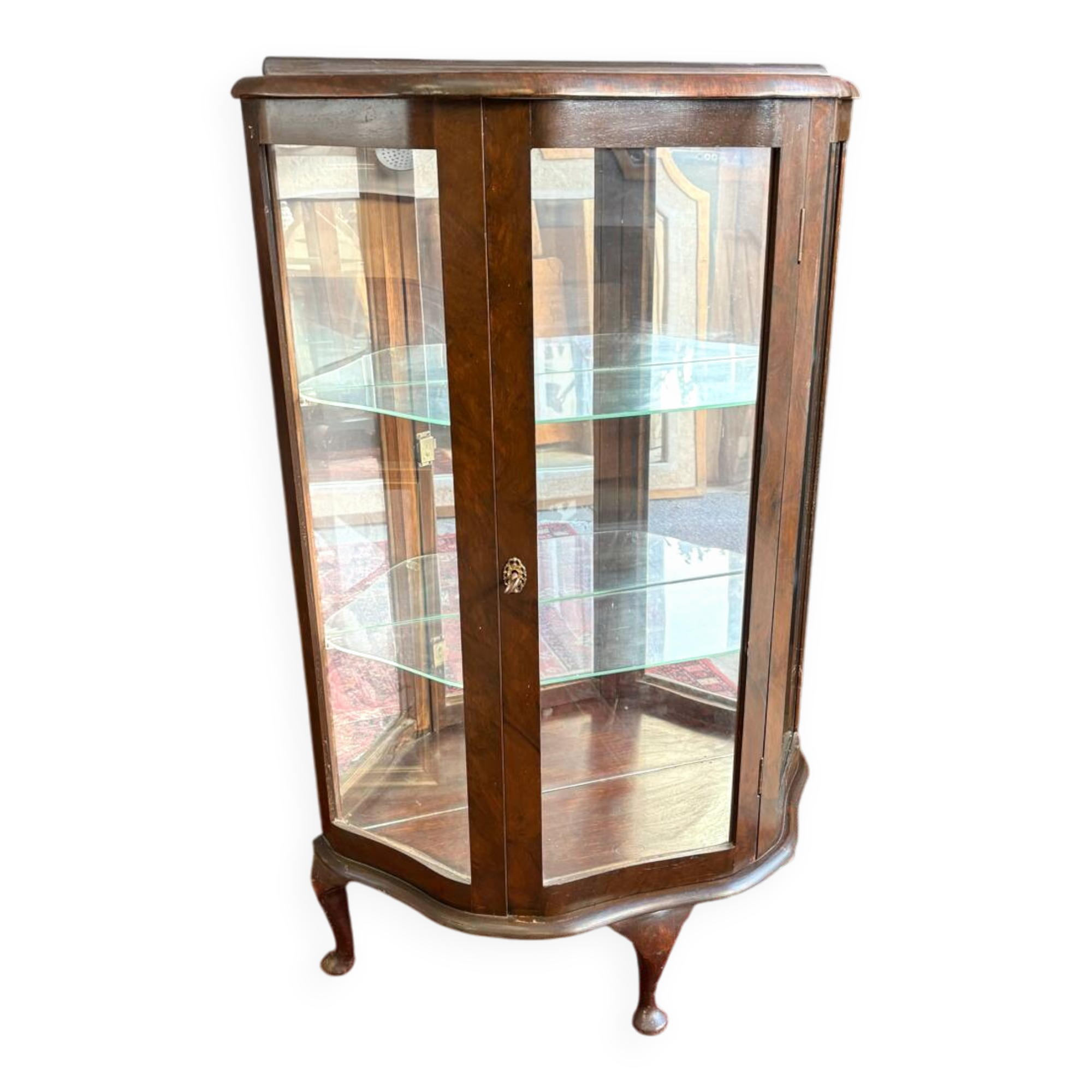 Antique English wooden display cabinet - Curved legs & 3 shelves