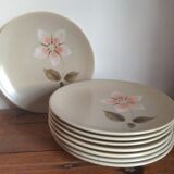 8 dessert plates