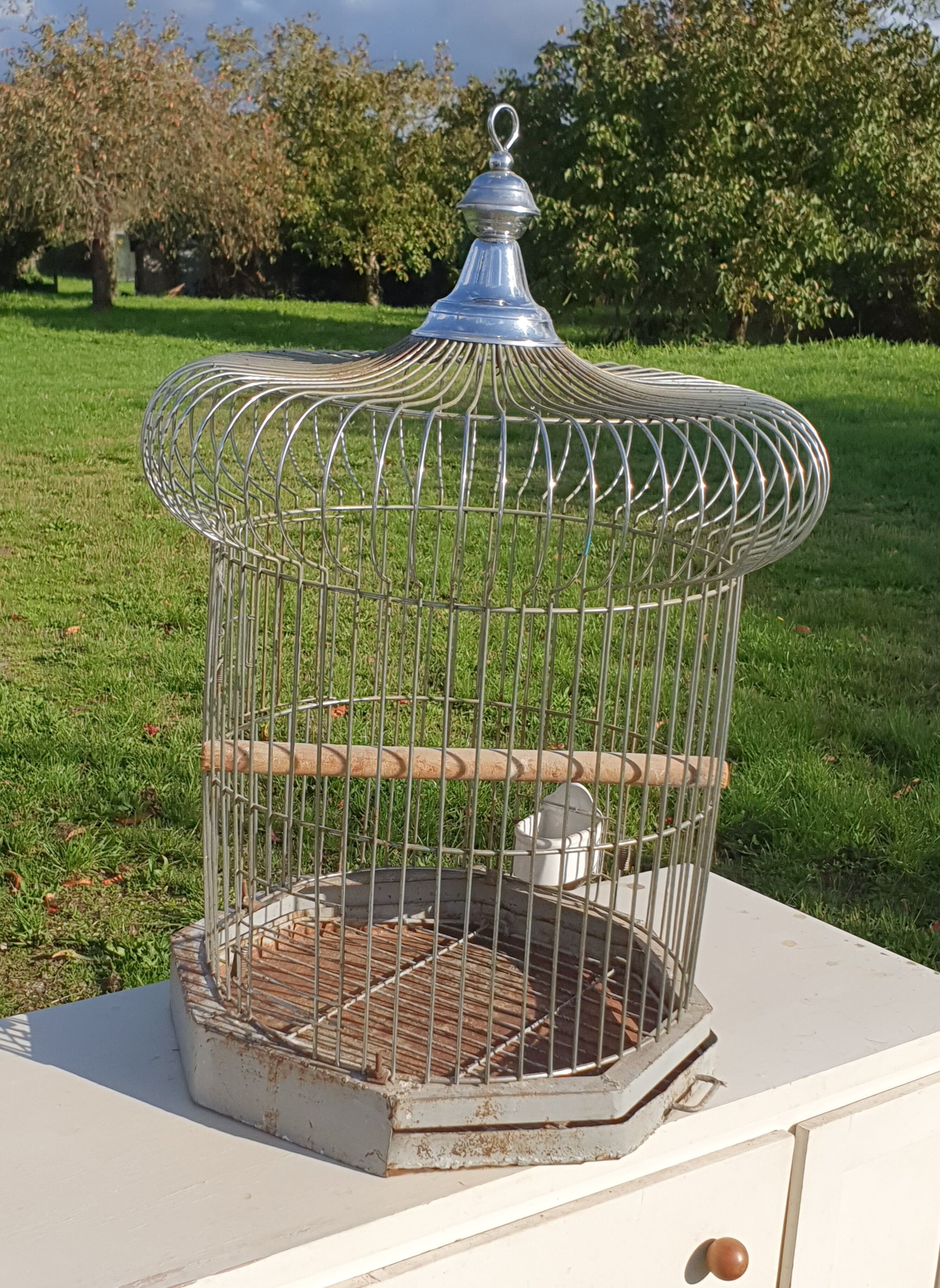 Large old iron parrot cage