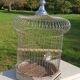 Large old iron parrot cage