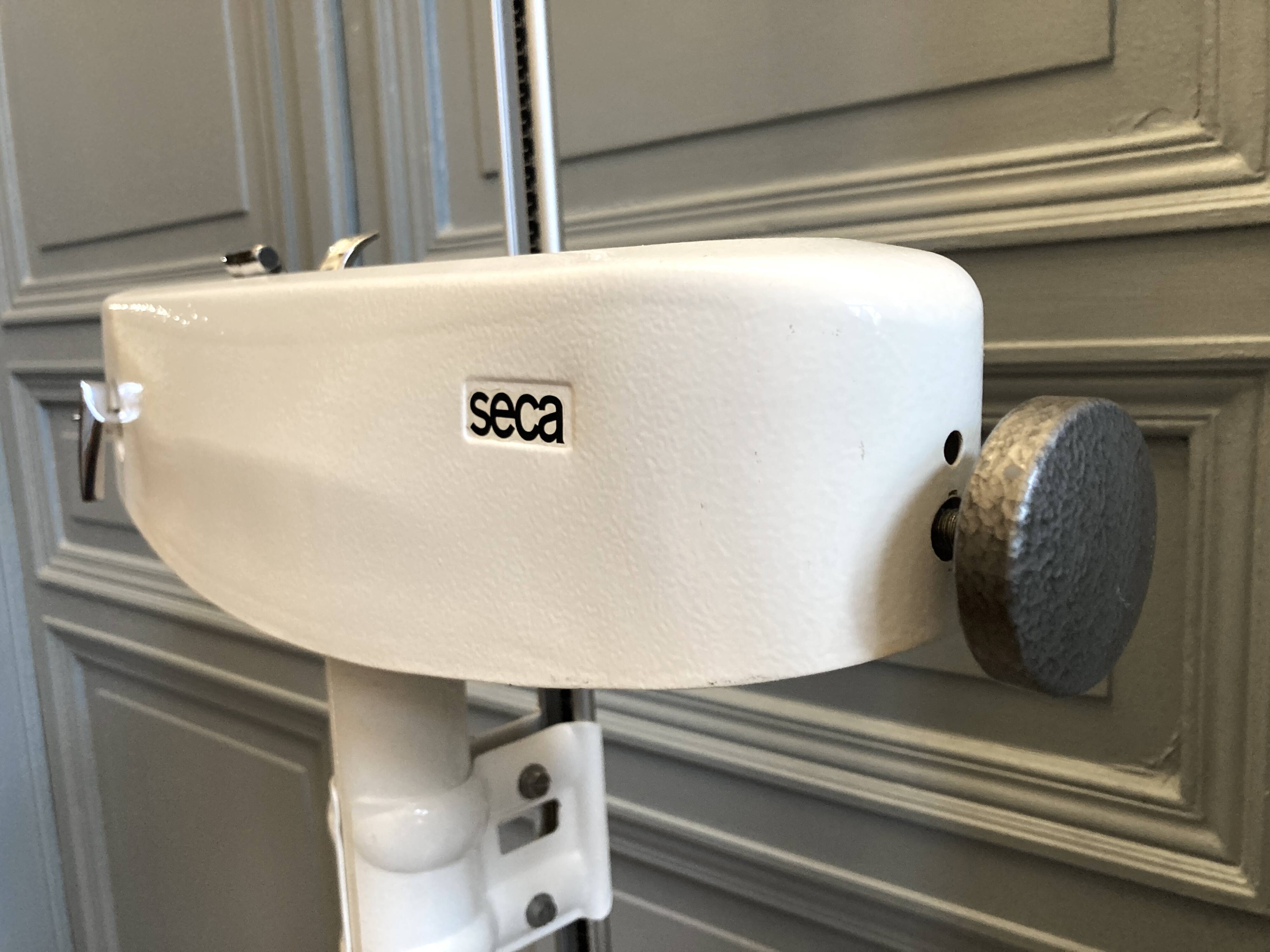 Personal scale and medicine measuring rod