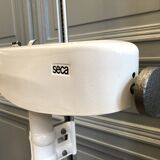 Personal scale and medicine measuring rod