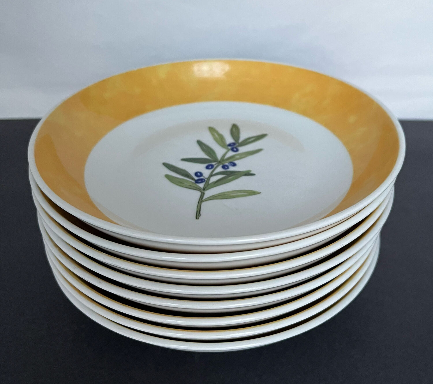 8 plates ceuses Guy Degrenne