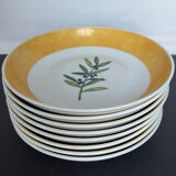 8 plates ceuses Guy Degrenne