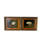 Still lifes signed Casal