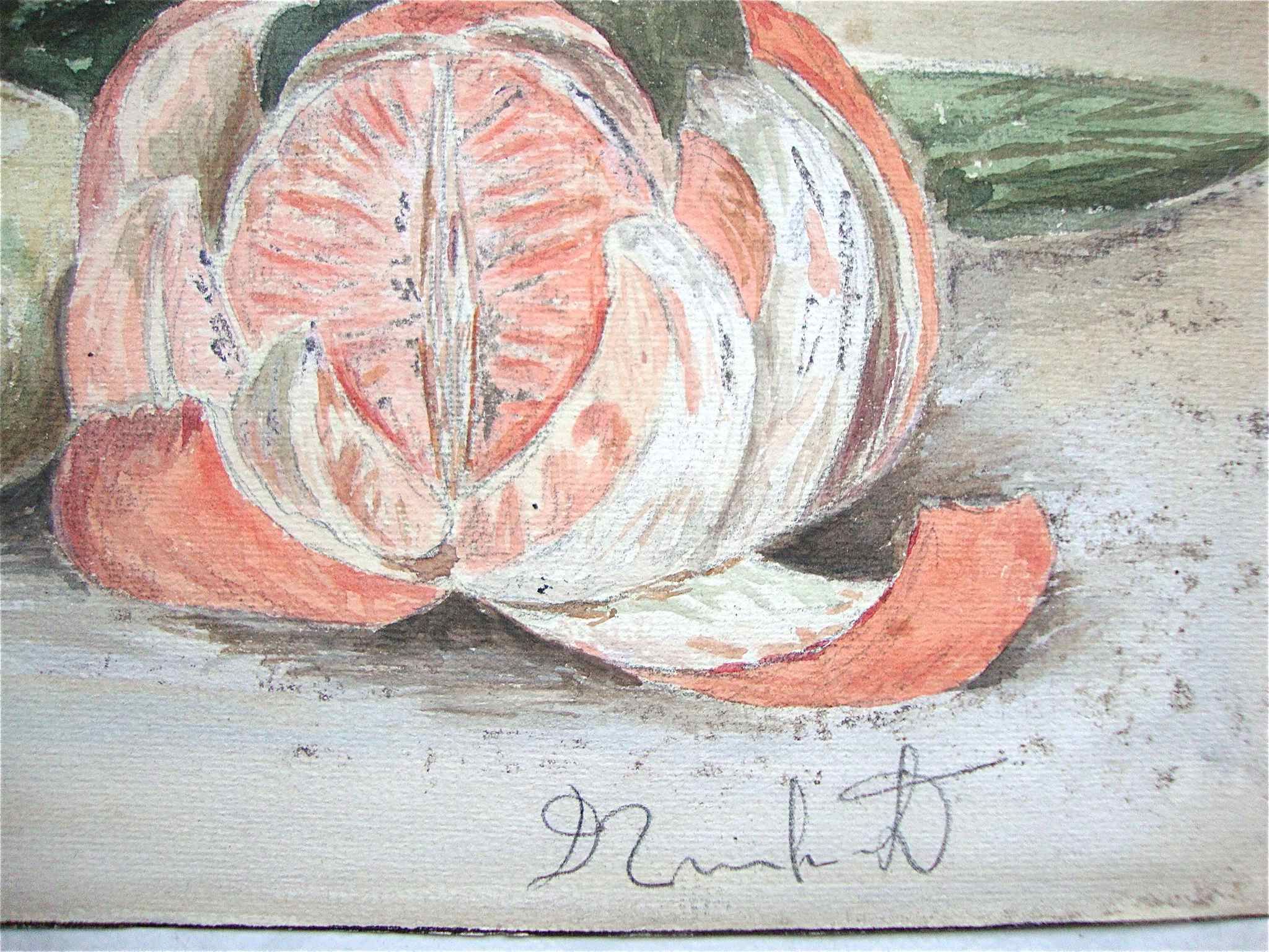 Ancient fruit watercolor and blue pitcher