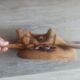 Kpeliye Mask Senoufo Ivory Coast