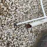 EMU RIO style garden chairs