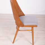 Model lollipop dining chairs from Tatra, 1960