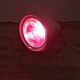 Lampe infrarouge Vintage Phillips