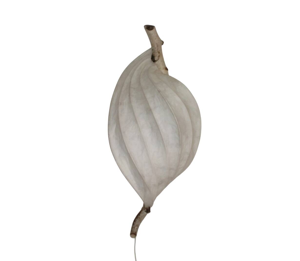 Lampe murale décorative Organic Light Sculpture, branche de bouleau et papier