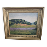Oil Painting on Cardboard - Landscape of Flowering Hills - Not Signed