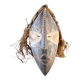 Old dance mask - Lwalwa tribe, Democratic Republic of Congo - Hardwood