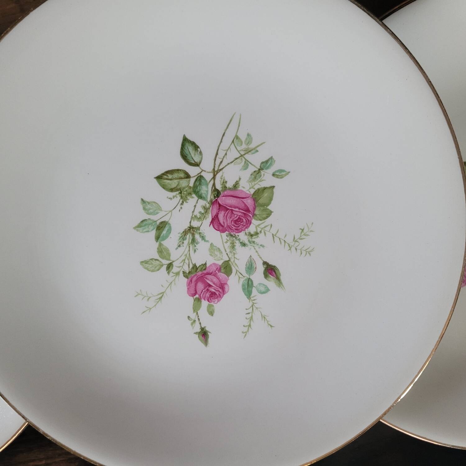 Gien 50s dinner plates