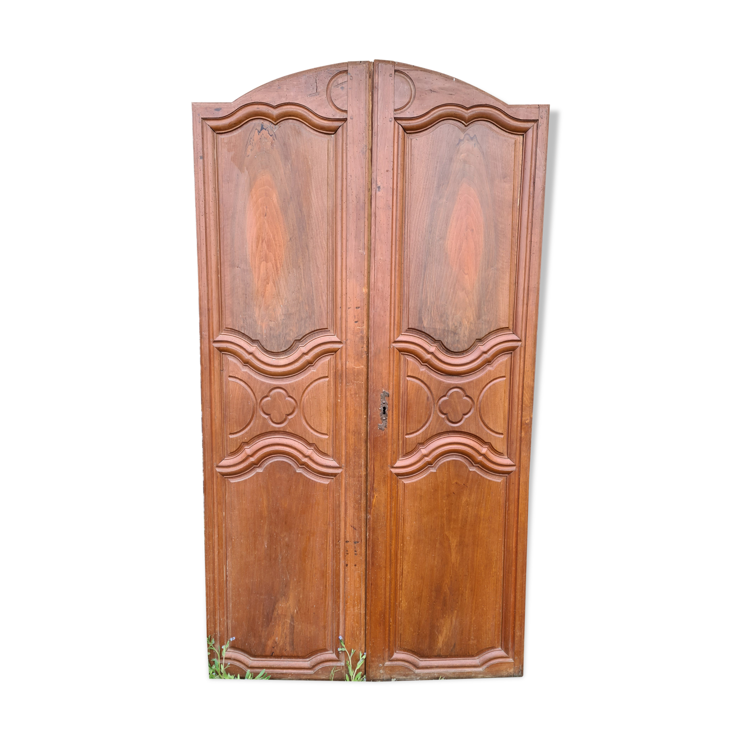 Pair of walnut doors
