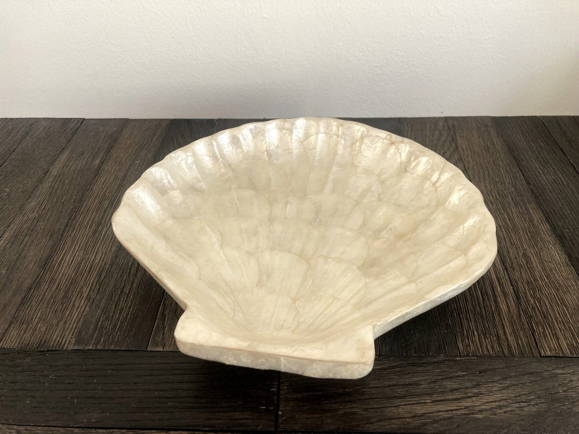 Cup / vacuum vintage pocket in the shape of mother-of-pearl shell
