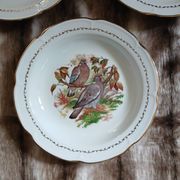 5 antique deep plates in porcelain